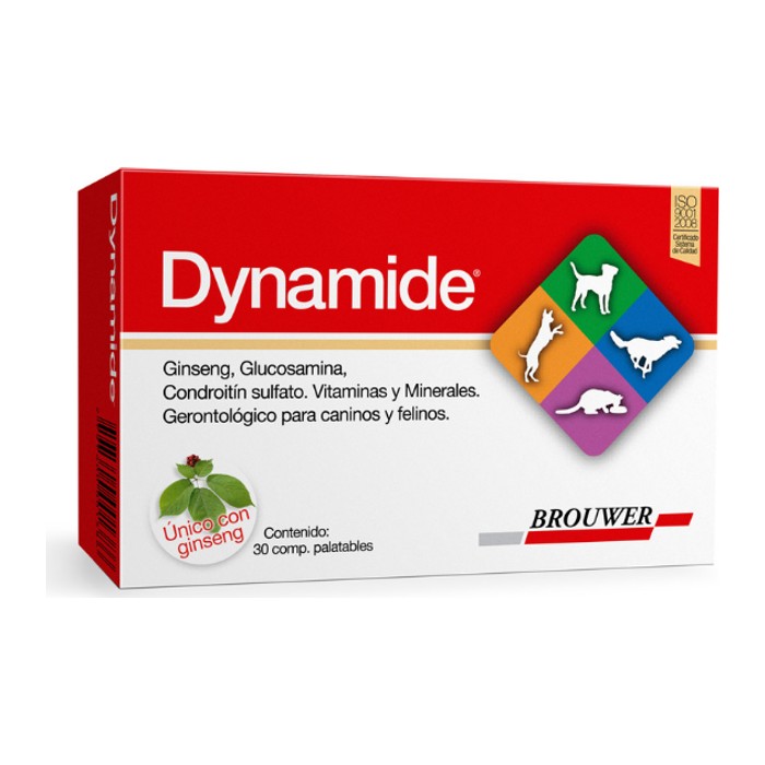Dynamide