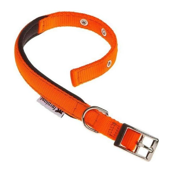 Collar Daytona C25/45