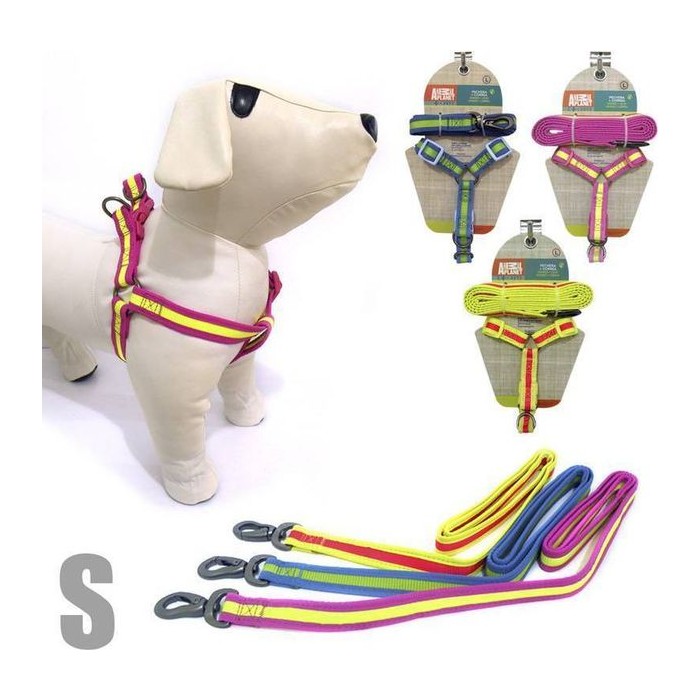 Arnes + Correa para mascotas (S) 2.0X14-20" 3/4" X 3FT L Material Poliester