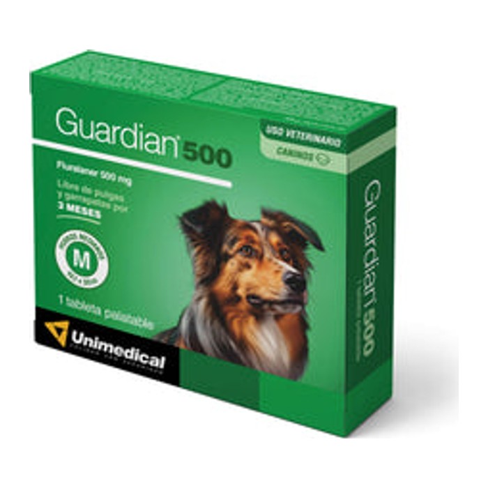Guardian 500