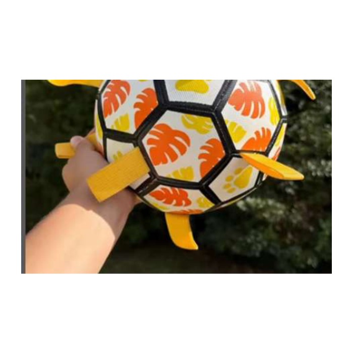 Pelota huella tradicional 20,5cm