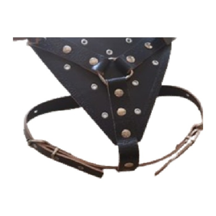 Pechera cuero Pitbull talle 2