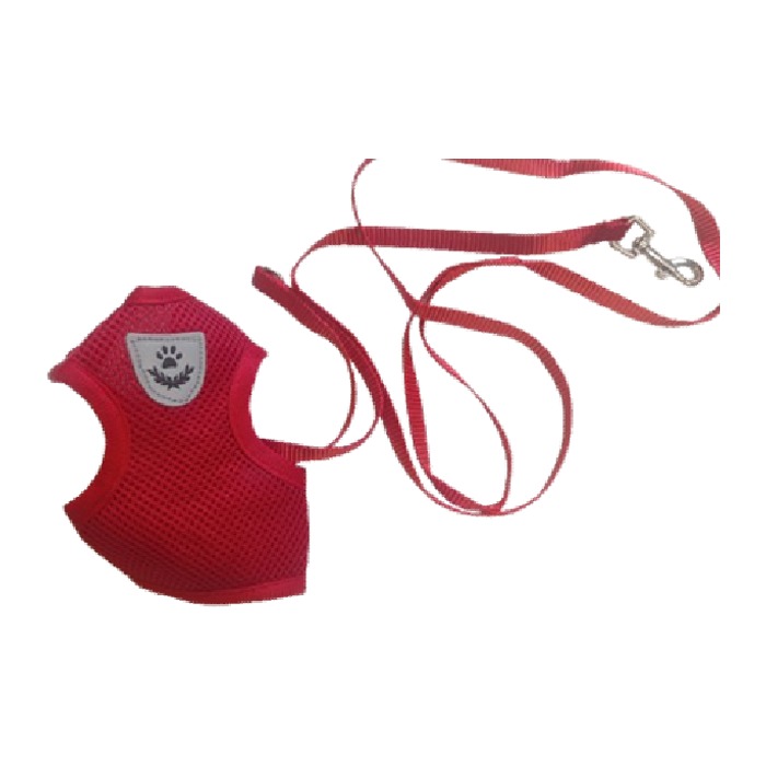 Set correa con pechera perro pequeño o gato